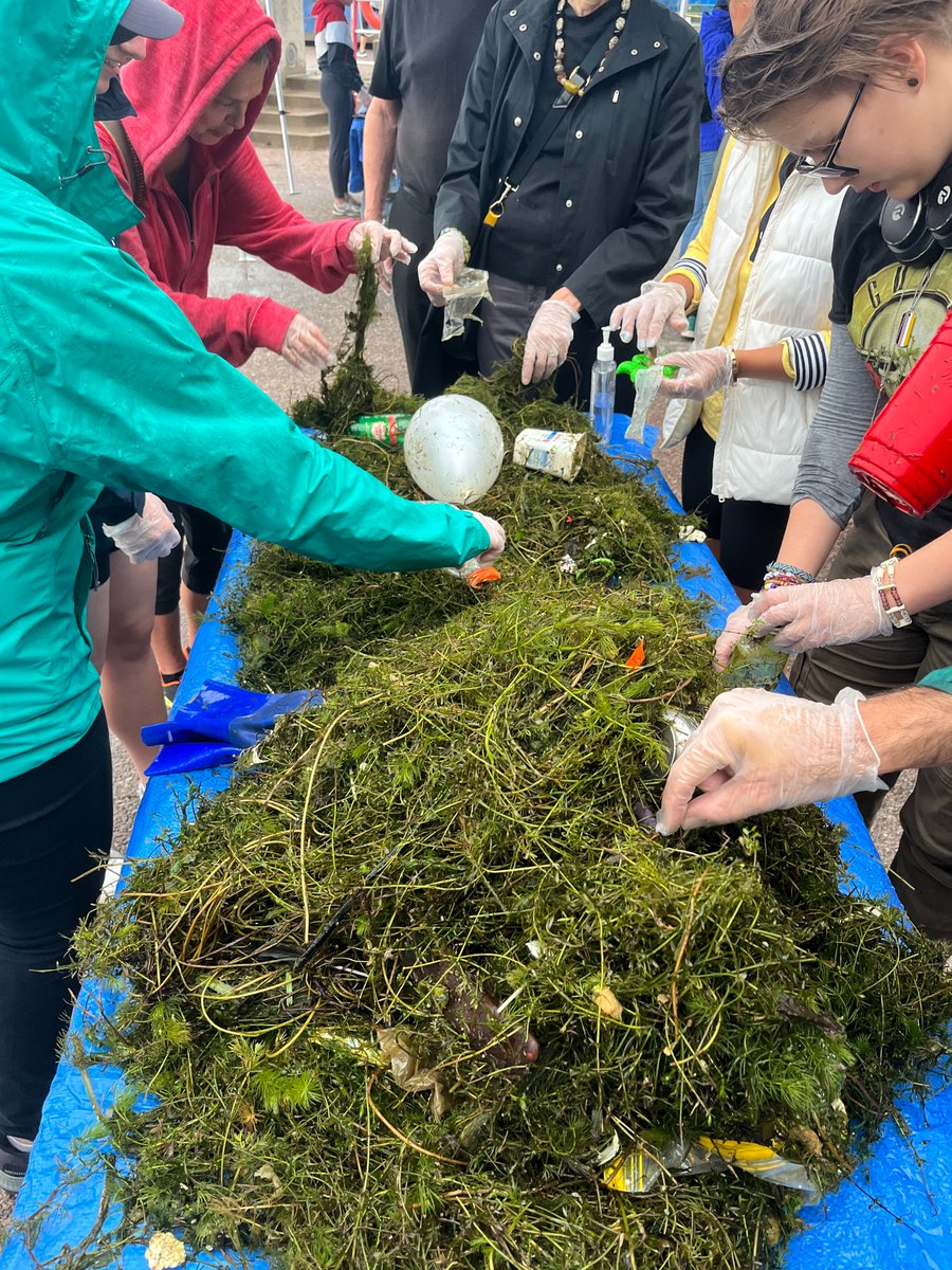 CECweb's tweet photo. 🎉Congratulations to everyone in Toronto who joined @UofTTrashTeam, @CECweb & partners on 12 Aug. to remove, count and categorize plastic and other litter captured by #TrashTraps from the #Toronto Harbour 🇨🇦
🌊🥤#LastStopTheOcean
🦝🚯#StopMarineLitter
👉https://t.co/bZIXsM5dPc https://t.co/HaQiGwJfls