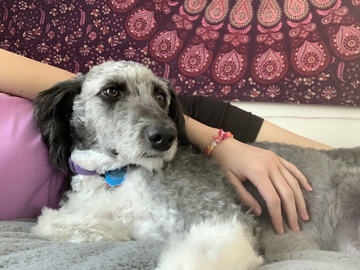 Claire (celest) tweet media