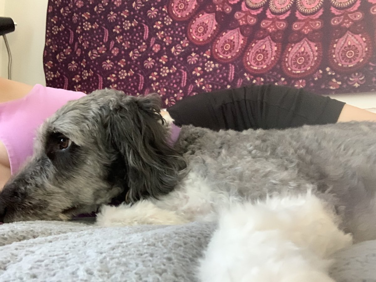 Claire (celest) tweet media