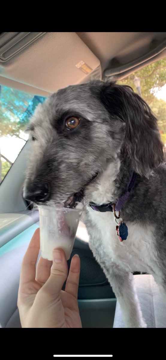 Claire (celest) tweet media