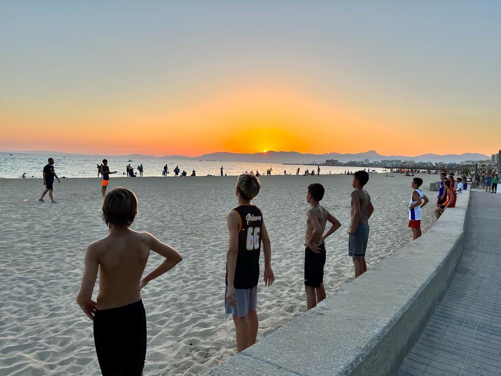 IBSA CANTERA tweet media