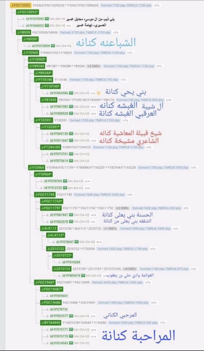 طررررررمبة🤣 tweet media