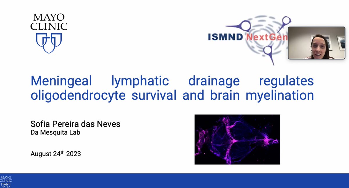 ISMND1's tweet photo. Now we have @dasNeves_SP @MayoClinicNeuro highlighting how #meningeal lymphatic drainage regulates #oligodendrocytes survival and brain myelination
#ISMNDNextGen https://t.co/trMIHW3sBb