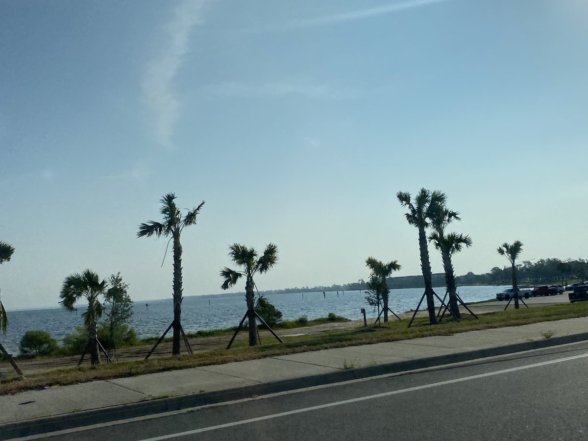 Good morning everyone! Have a great Thursday!