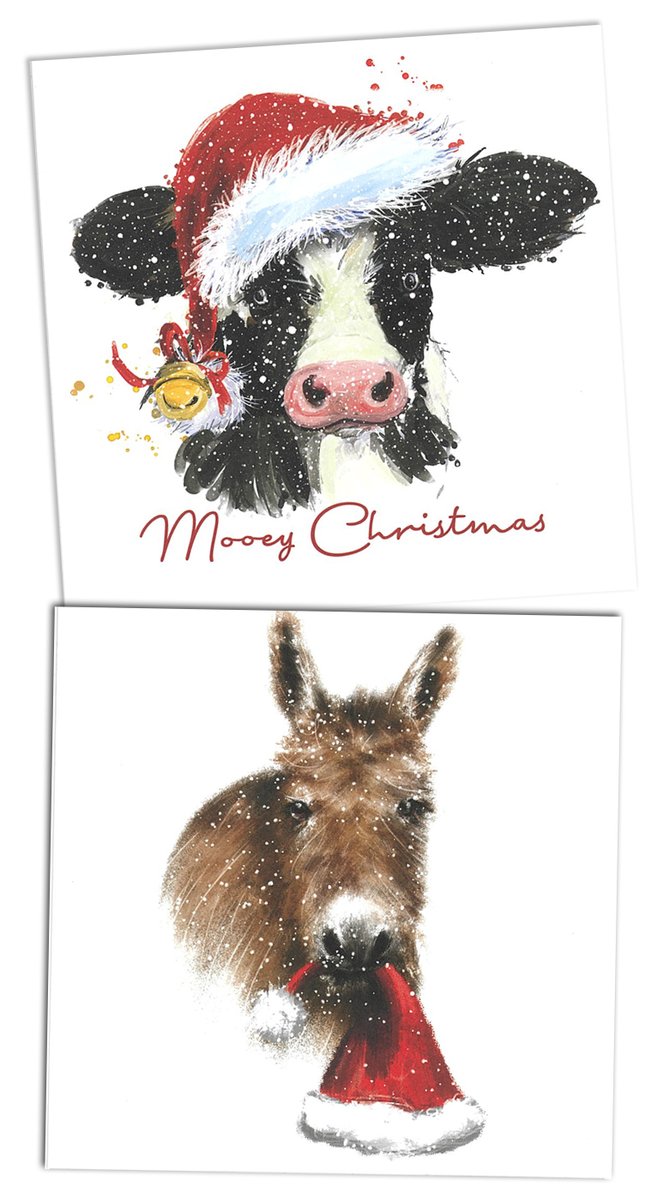 Just In - 2023 Christmas Cards!!  (Please Share)
Jingle Bells - Pack of 10 in two designs £5.95
Also other new 2023 designs available on the link below:
shop.hillside.org.uk/gifts/
Buying Hillside's cards and gifts will help us care for our many rescued animals.