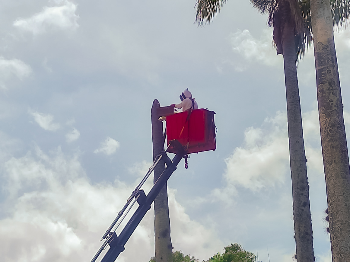 floridabomberos's tweet photo. El #CBVF llegó hasta el #municipio de #Suratá, #Santander a apoyar #labores de #prevención. con el #ControldeAbejas y #tala de la #palma.

Con estas #acciones, el #CBVF cumple su #misión #bomberil más allá de su #Jurisdicción, para garantizar el #bienestar de la #comunidad. https://t.co/t4zYKBk8nm