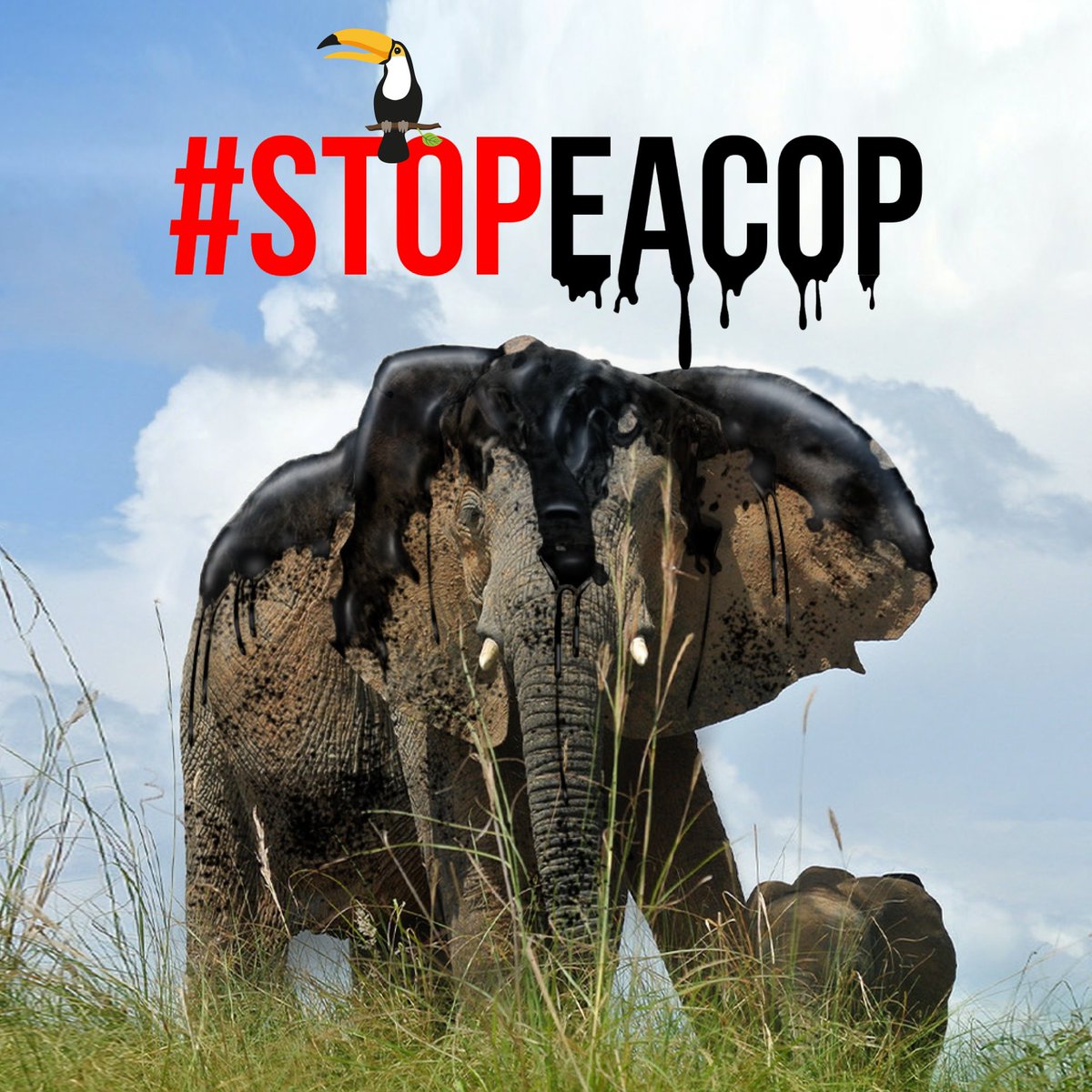 Sauvons la forêt (@sauvonslaforet) on Twitter photo Nous soutenons les 9 étudiants menacés de prison en #Ouganda. Protester contre les projets pétroliers de #TotalEnergies n’est pas un crime ! #StopEACOP
Dénouement de leur #procès le 4 sep ?
Signez✍️🏽et partagez✖️notre #pétition ⬇️
sauvonslaforet.org/petitions/1269…
<a href="/sauvonslaforet/">Sauvons la forêt</a> <a href="/YGCUganda/">Youth For Green Communities (YGC).</a> Nous soutenons les 9 étudiants menacés de prison en #Ouganda. Protester contre les projets pétroliers de #TotalEnergies n’est pas un crime ! #StopEACOP
Dénouement de leur #procès le 4 sep ?
Signez✍️🏽et partagez✖️notre #pétition ⬇️
sauvonslaforet.org/petitions/1269…
<a href="/sauvonslaforet/">Sauvons la forêt</a> <a href="/YGCUganda/">Youth For Green Communities (YGC).</a>