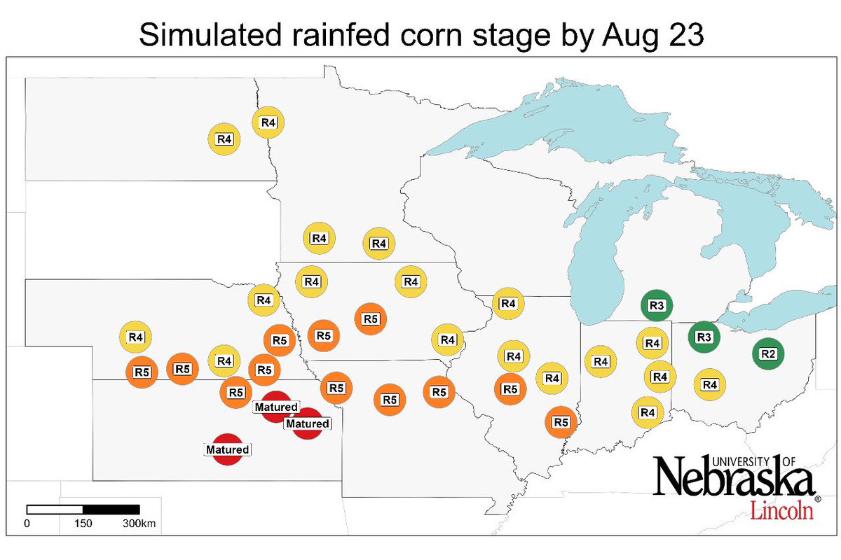 josefandrade's tweet photo. Maiz en EEUU ppalm entre grano PASTOSO y DURO // Esperan RINDES CERCANOS A LA MEDIA de los ultimos años a nivel regional // Partes de Iowa, Missouri y Nebraska menores a su media por efecto de sequía/https://t.co/4MtVgisFm4 https://t.co/kFsbky6Z5X