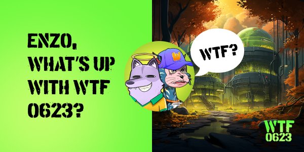 Enzoterra6146's tweet photo. 1 / Enzo, what's up with WTF0623? 

Glad you asked, fren! 

It's a wild mix of NFTs, games, prizes, and beloved partnered projects, all here on X! 

My acc's turning into a WTF0623 hub while the game's on. Cool, right?

psst 25WL spots to grab at the end 👇🧵 https://t.co/yI1RbHzEZh