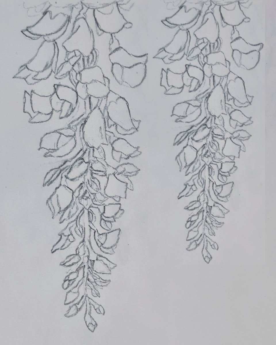 Day - 24 of August flower challenge
Wisteria
#absorutoart #artist #visualartist #dailyart #arteveryday #challenge  #challenge #paintingchallenge #wisteria #wisteriaflowers #digitalart #digitalartworks #sketches #illustrations