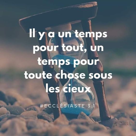 jeviensbientot's tweet photo. https://t.co/SpYvKaFRiz