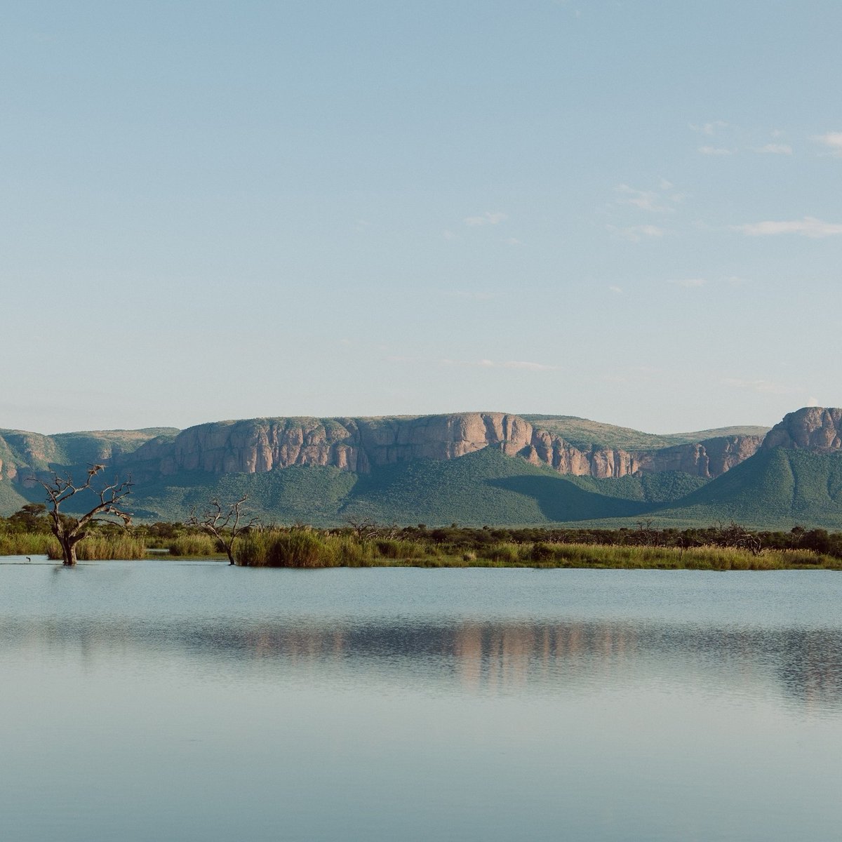 MORE_Collection's tweet photo. Our commitment to #sustainability is grounded in #conservation and we appreciate our role as custodians of the wilderness surrounding our lodges!
#leopard #rhino #wilddog #endangeredspecies #MOREimpact #MOREFamilyCollection https://t.co/Q3yQYYQZcW
