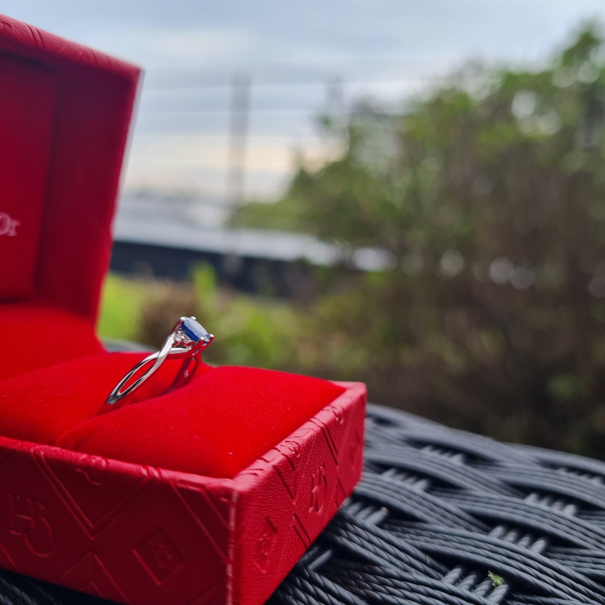 Lily Croft tweet media