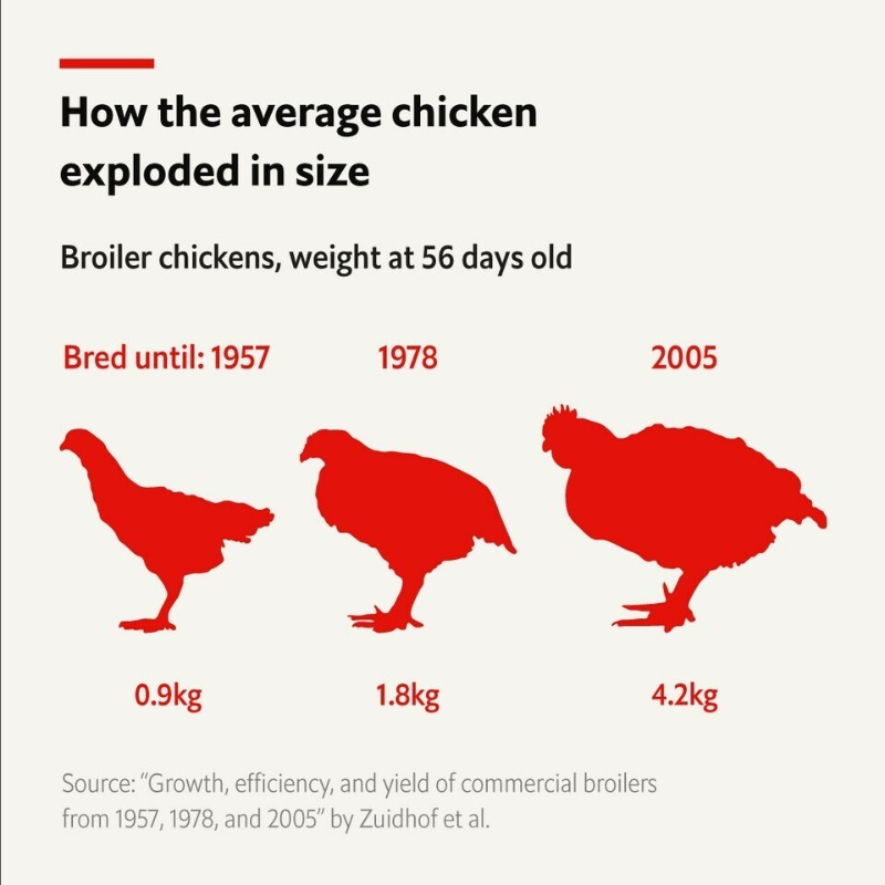 TheEconomist's tweet photo. Check out the best of The Economist’s data journalism, in charts, maps and interactive features