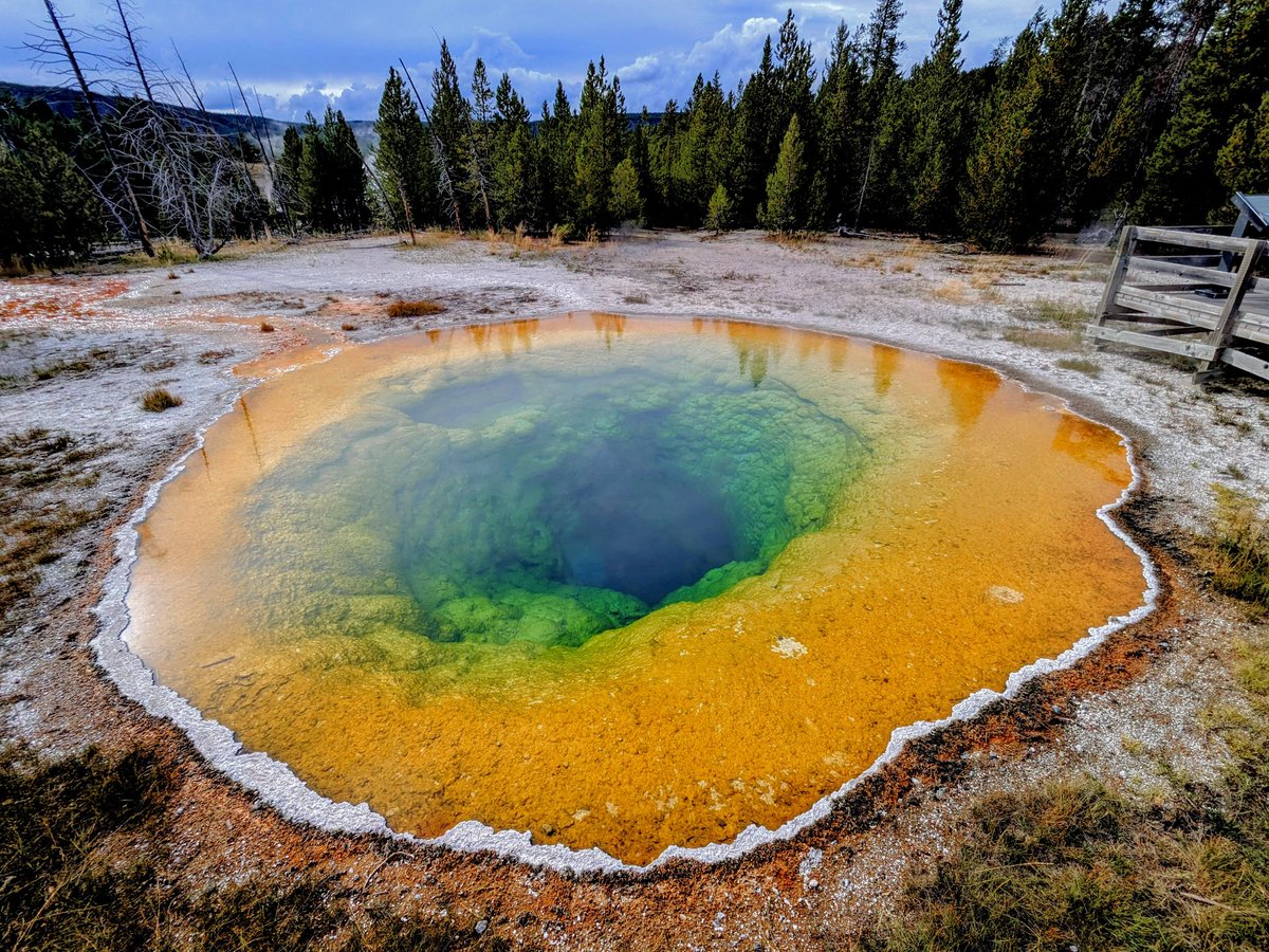 FishSamyu's tweet photo. Amazing colors of the Yellowstone national parks. https://t.co/l3RPQJy4vy