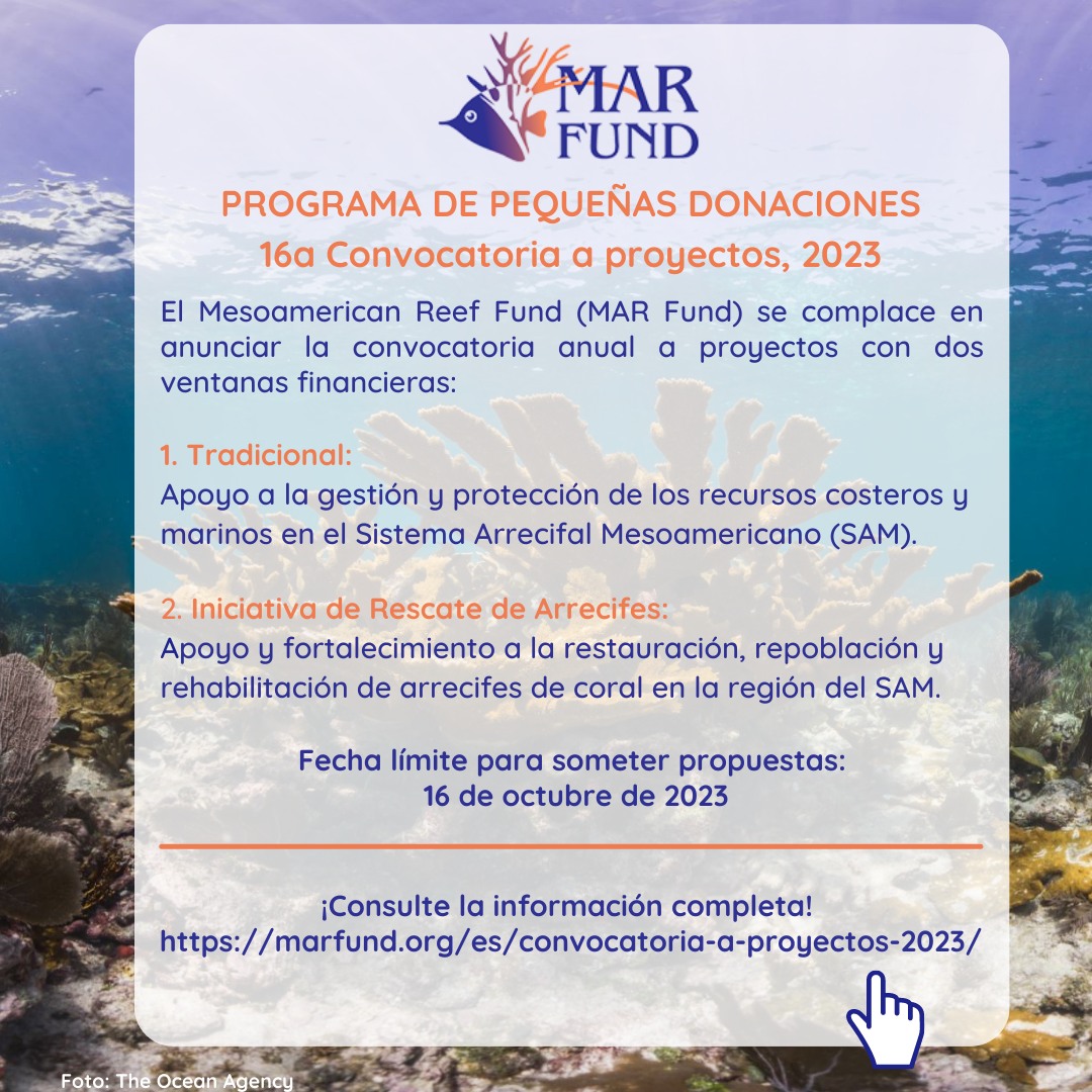 RedLAC1's tweet photo. #RedLAC|| ¡Ya está abierta la convocatoria a la décimo sexta convocatoria del Programa de Pequeñas Donaciones de @MAR_Fund !
La fecha límite para enviar tu propuesta es el 16 de octubre.

Haz clic en este enlace para más información:   https://t.co/1ywPCWscwq
#SomosRedLAC https://t.co/jjUz3VJVU3
