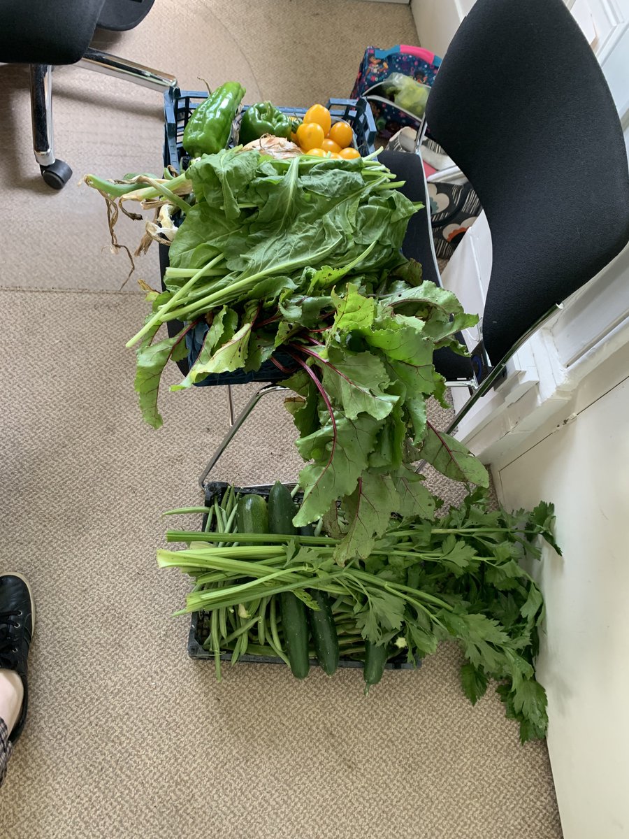 Yummy veggies to take home! Beetroot, tomatoes, cabbage, celery, peppers, onions and blackberries 🙌