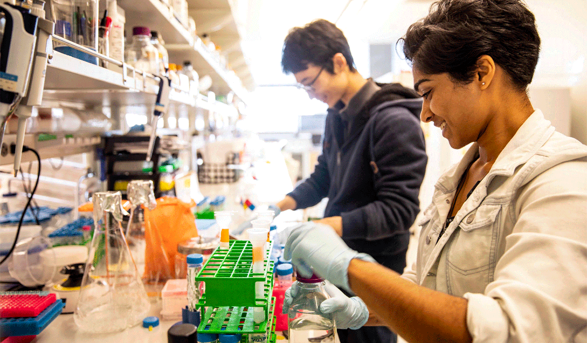 Reddit AskScience (@redditasksci) on Twitter photo Molecular Engineering is paving the way to design and assemble better materials, systems, and processes for specific functions. Come ask graduate students and faculty from <a href="/UWMolES/">Molecular Engineering & Sciences Institute</a> your questions! redd.it/15zyq57 Molecular Engineering is paving the way to design and assemble better materials, systems, and processes for specific functions. Come ask graduate students and faculty from <a href="/UWMolES/">Molecular Engineering & Sciences Institute</a> your questions! redd.it/15zyq57
