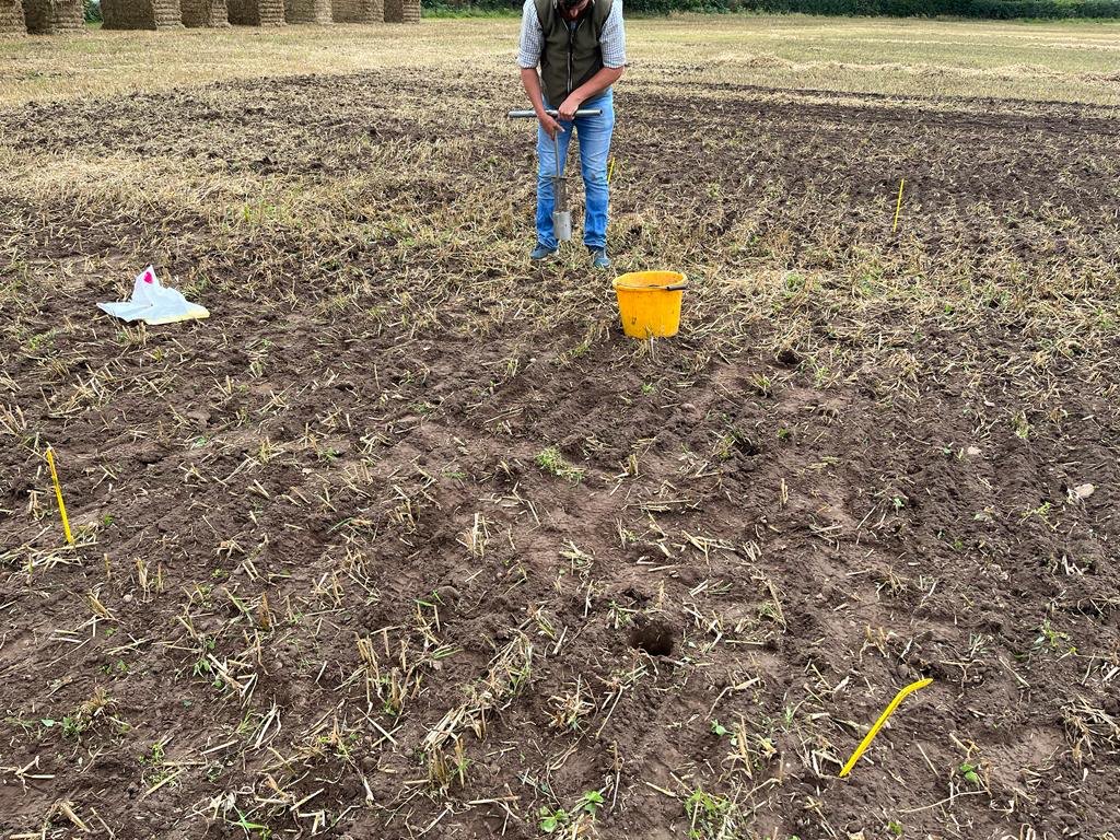 Blackthorn Arable Ltd (@blackthorncox) on Twitter photo Trial prep over in Shropshire today. What a team <a href="/IFarmers/">Innovative Farmers</a> <a href="/ProduceSolution/">Produce Solutions</a> <a href="/benclunie/">Dr Ben Clunie</a> <a href="/Hutchinsons_Ag/">Hutchinsons</a>
Thanks to Griff for all his hard work and seed supplied FOC by Hutchinson’s
Thanks everyone #wireworms Trial prep over in Shropshire today. What a team <a href="/IFarmers/">Innovative Farmers</a> <a href="/ProduceSolution/">Produce Solutions</a> <a href="/benclunie/">Dr Ben Clunie</a> <a href="/Hutchinsons_Ag/">Hutchinsons</a>
Thanks to Griff for all his hard work and seed supplied FOC by Hutchinson’s
Thanks everyone #wireworms