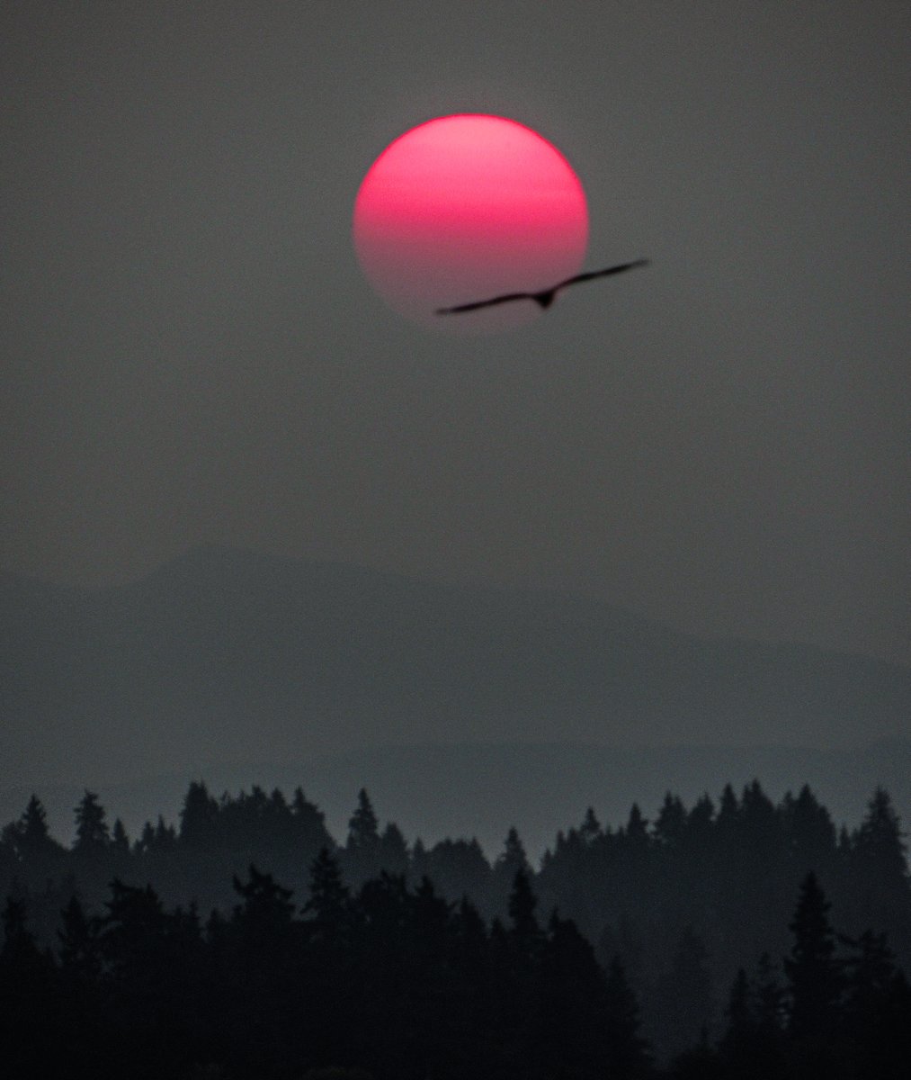 NWSSeattle's tweet photo. Sunrise at NWS Seattle. #wawx https://t.co/6i1QkJD6Ag
