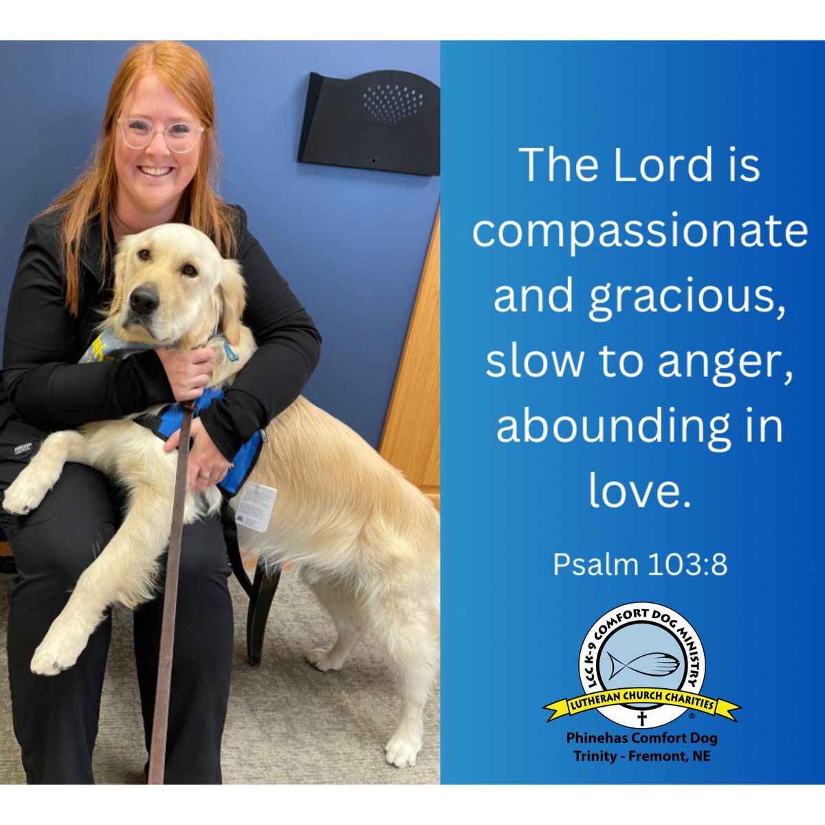 The Lord is compassionate and gracious, slow to anger, abounding in love.
—Psalm 103:8

💙🐾💙