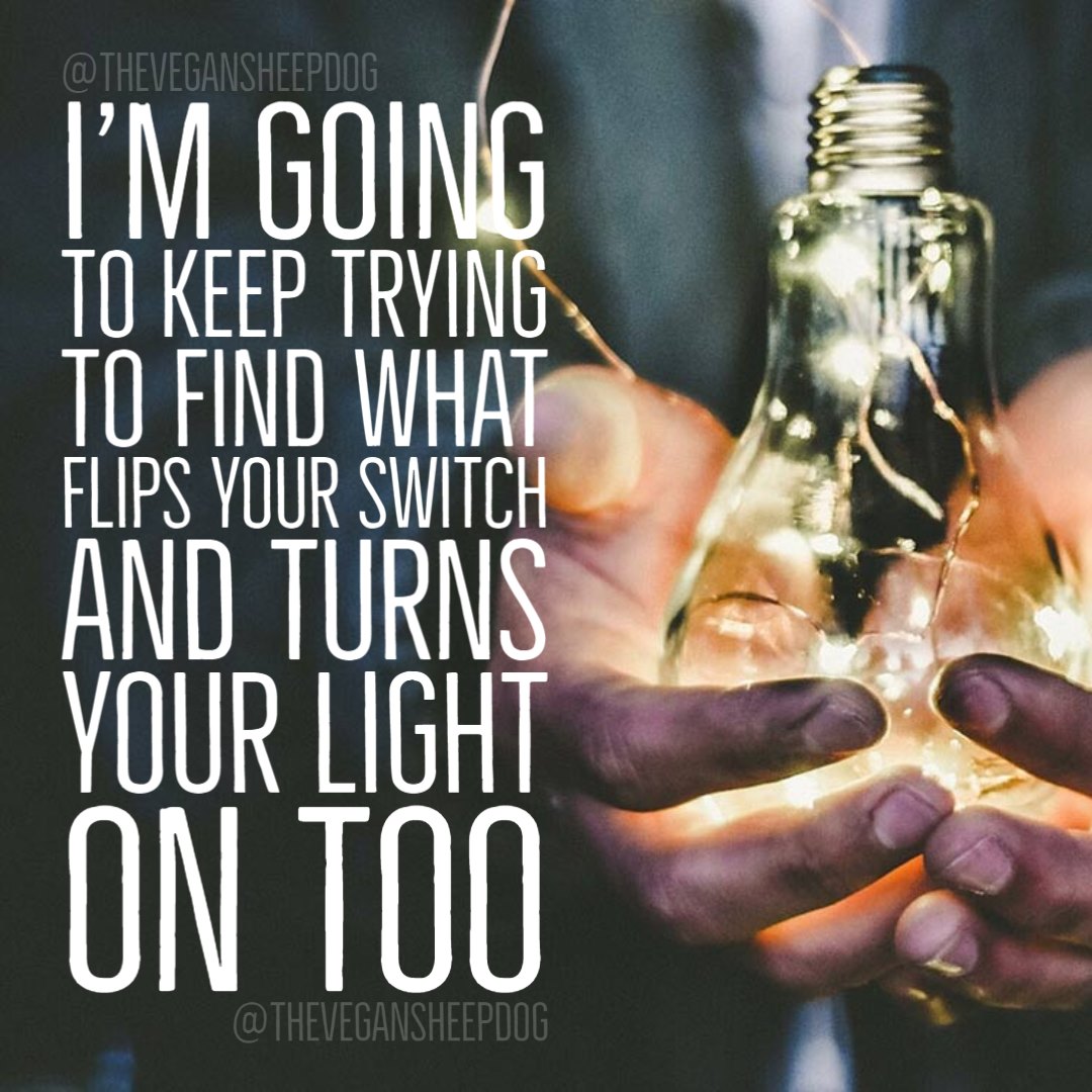 I'm never going to give up, I'm not going to be detoured, I'm not going to be slowed down, and I'm not going to be quite until I not longer have to try to convince people that eating animals is cruel.
 #vegans #vegan #veganstrong #veganshare #veganmemes #veganjourney #animals