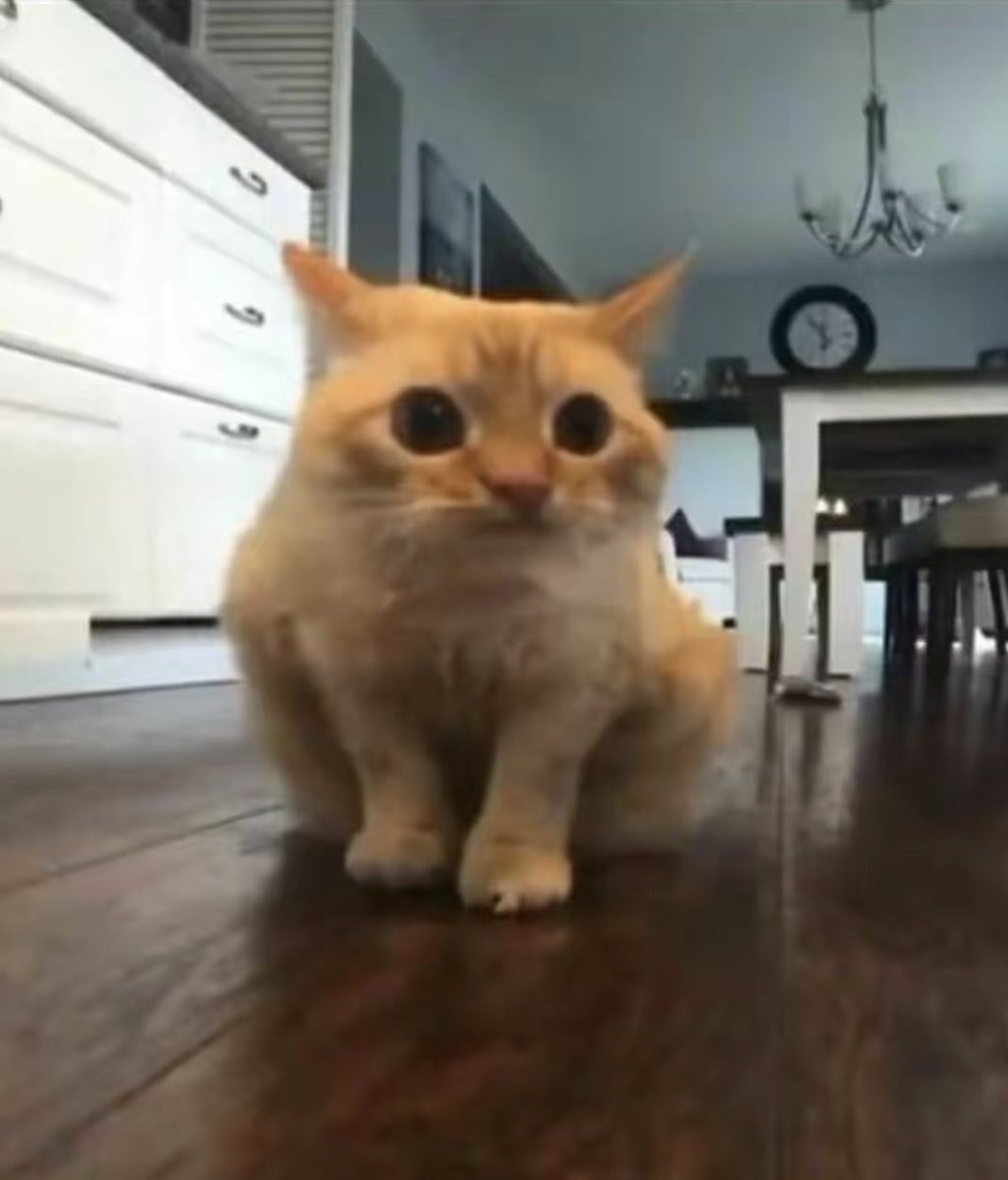 ordn ﾒ𝟶 tweet media