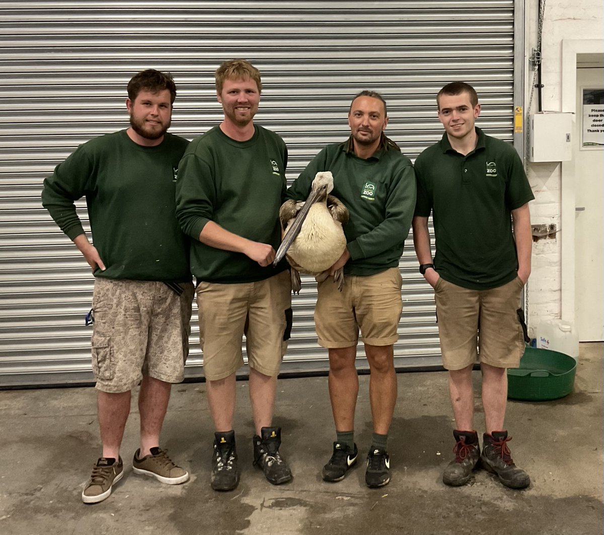 We are delighted that the Eastern white pelican has been found safe and well.

Read the full statement here: ow.ly/j82H50PCSZx