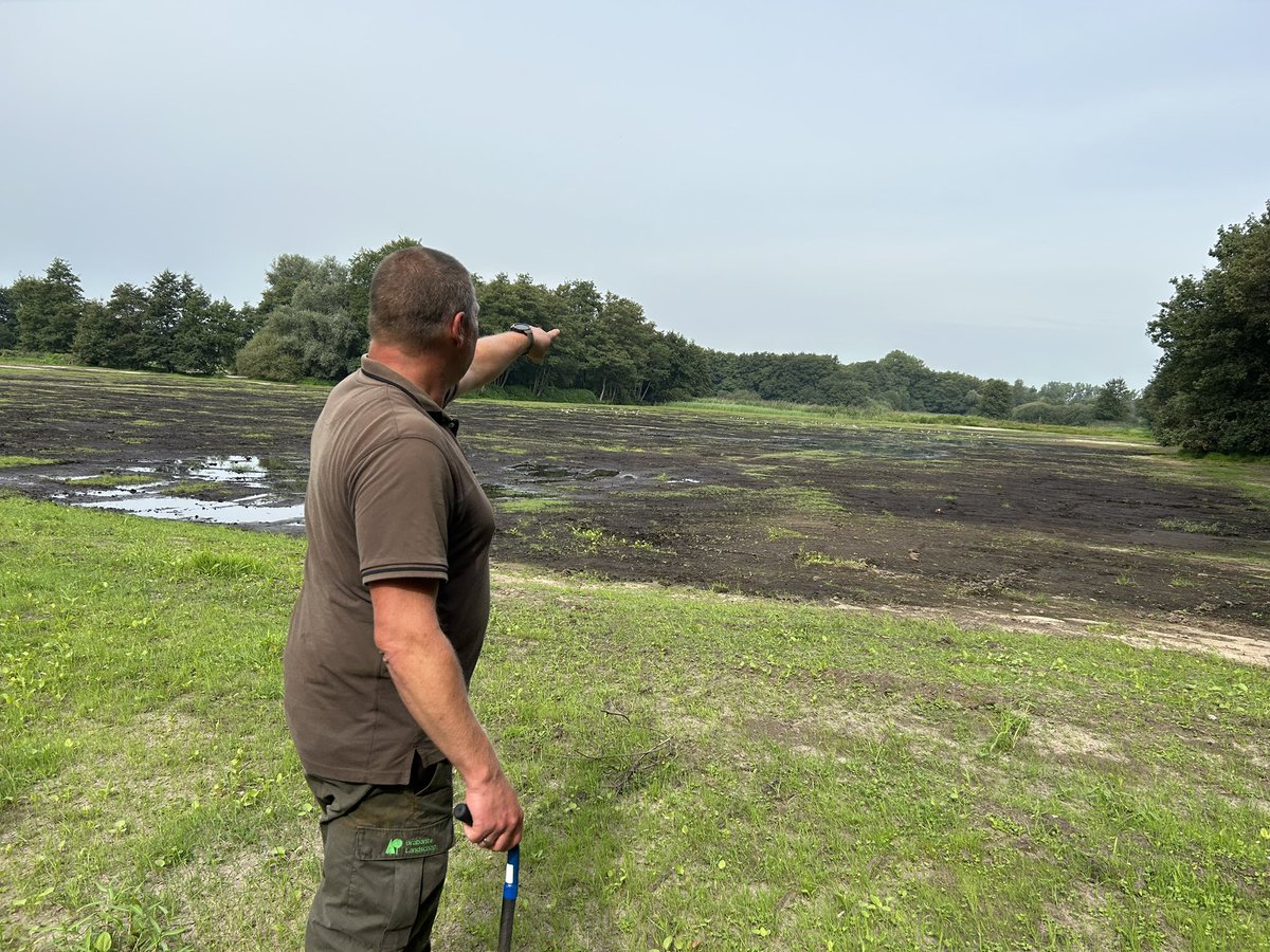 Op werkbezoek bij Landgoed Tongelaar, in het beekdal van de Raamvallei. Hier werken @Brab_Landschap, <a href="/aaenmaas/">aaenmaas</a> en de omliggende boeren samen aan natuur- en beekherstel, met oog voor de cultuurhistorie en het landschap. Goede uitleg door @JorisHogenboom en beheerder Gijs Looijen
