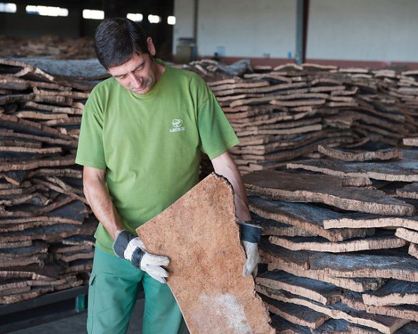 ICorchera's tweet photo. LA PRODUCCIÓN DE UN TAPÓN DE CORCHO ES UN PROCESO FASCINANTE🍷🍃@amorimcork https://t.co/nKyaV30A03