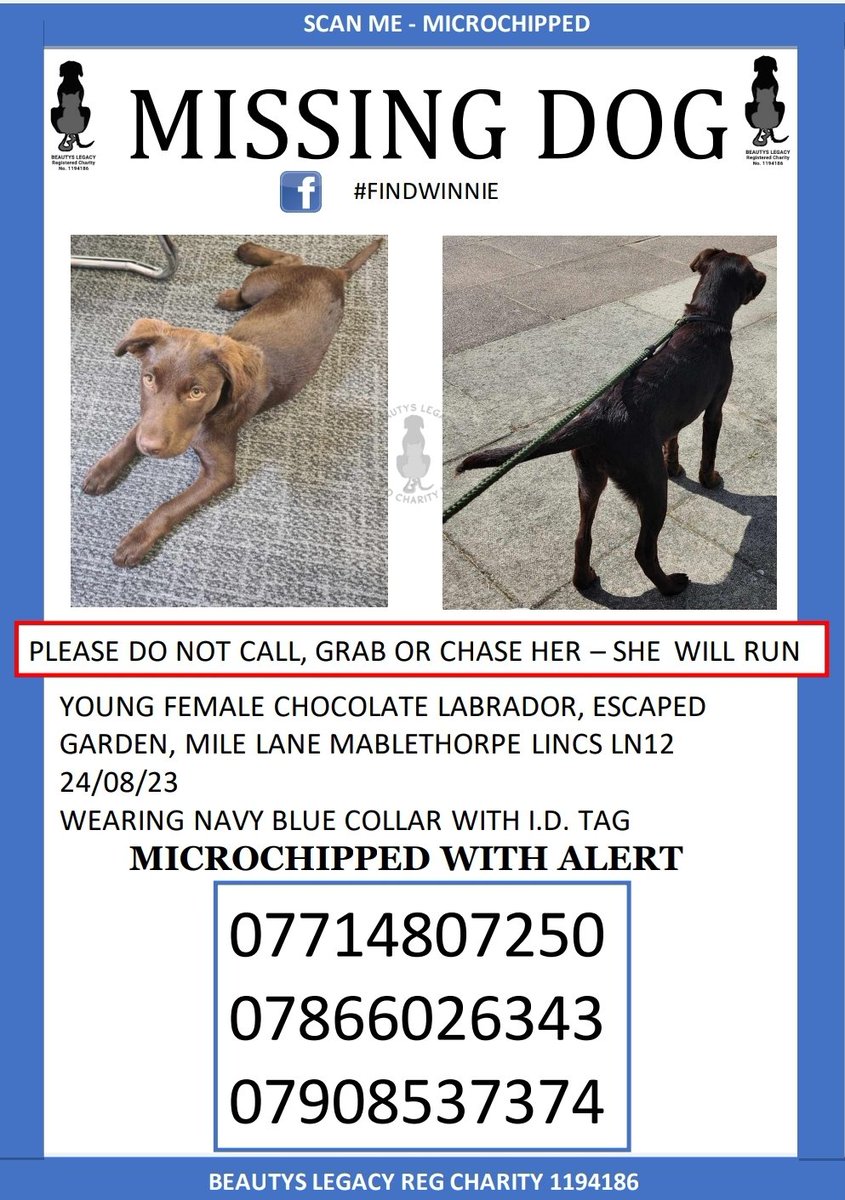 beautys_legacy's tweet photo. 5 month old pup missing today in Mablethorpe Lincs LN12
Surrounded by water, dykes, drains and marshland.
#findwinnie @LincsLive @looknorthBBC @BBCRadioLincs @LincsFM @RNLIMablethorp1
@MaboOnline @LabourinMabo @MrMablethorpe @snackshackcafe @animalstaruk @LouthLeaderNews https://t.co/N44fxJNN9e
