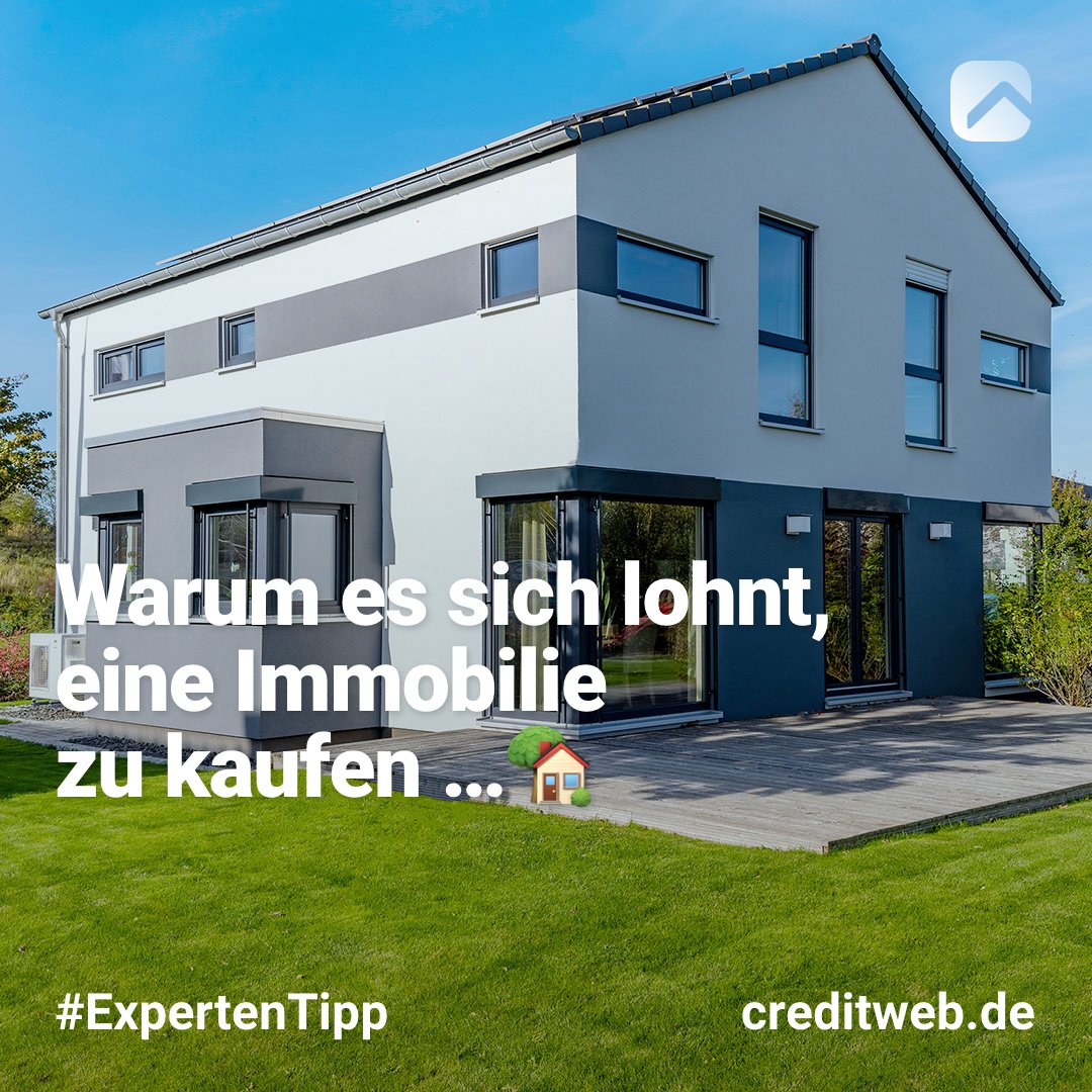 creditweb tweet media