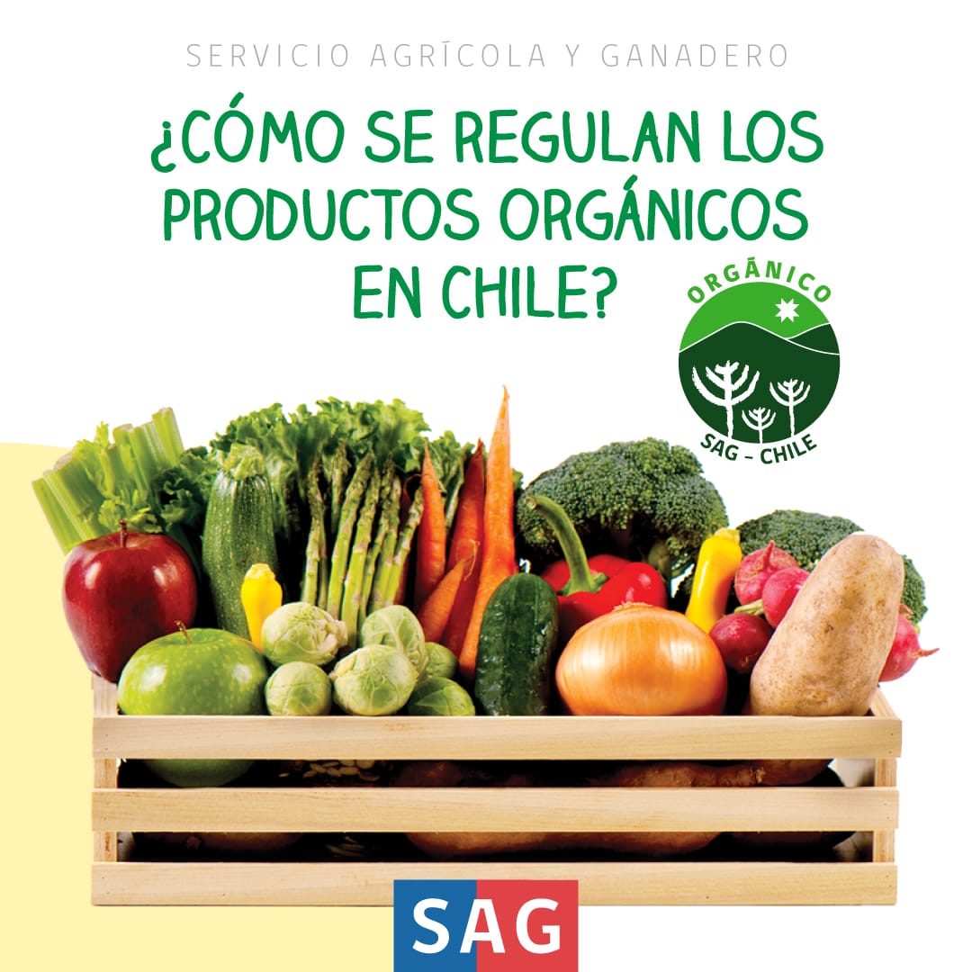 SAG tweet media