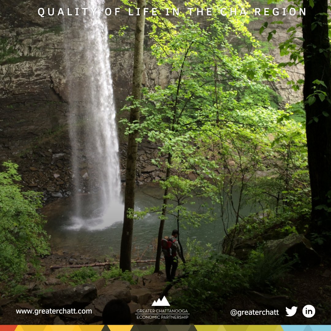 Whether you're seeking a family-friendly outing or serene outdoor retreat, these CHA region swimming spots have it all! Click the link to learn more! ow.ly/VL3c50Pj2Il

#ChattanoogaSwimmingHoles #SummerFun #NaturalOases #AdventureAwaits #CoolOffChattanooga #TN #GA #AL