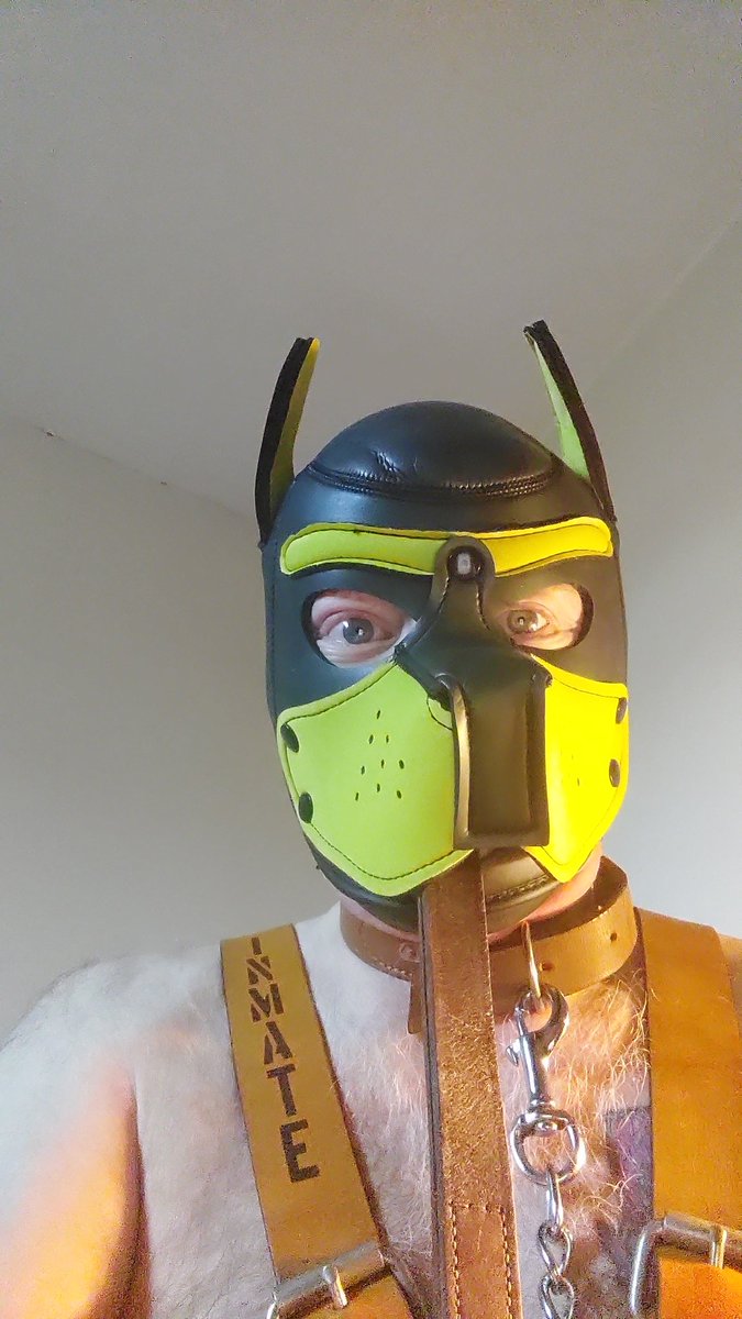 WOOF WOOF...ROMFORD DADDY PIG.....AND PUP 🐶