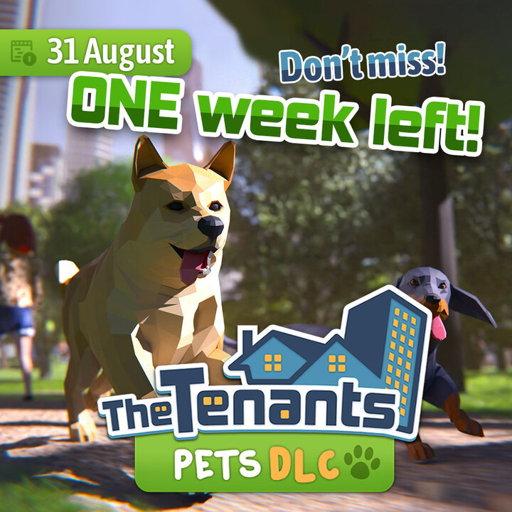 The Tenants tweet media