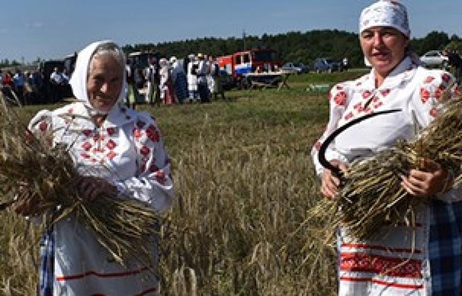 Віцебская Вясна tweet media