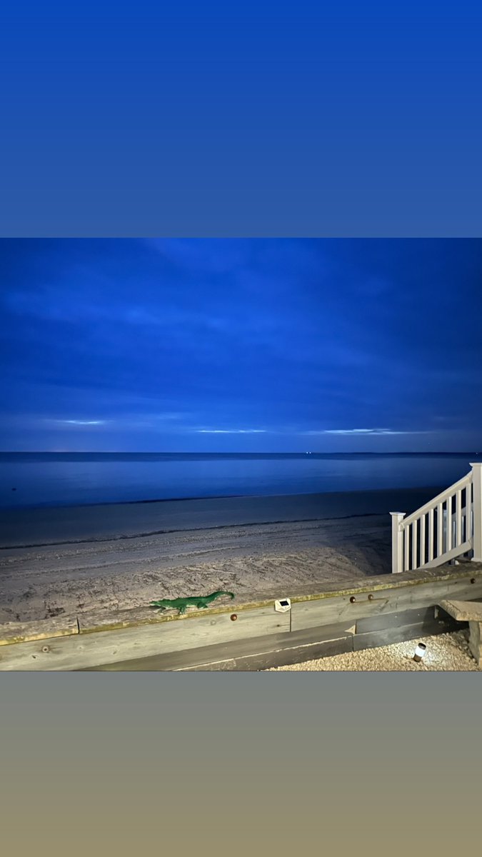 Nina Stewart tweet media