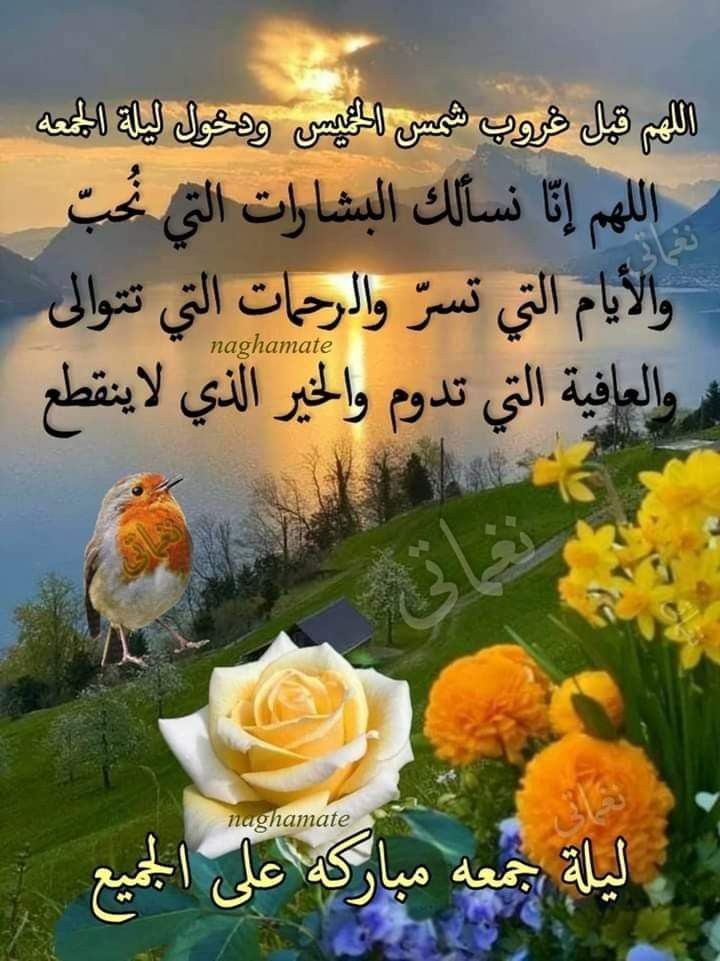 hnyn401428391's tweet photo. مسائكم معطره بذكر الله ورسوله ليلة الجمعة مباركة الجميع 🤲🌺 https://t.co/t0wvjcjSpj