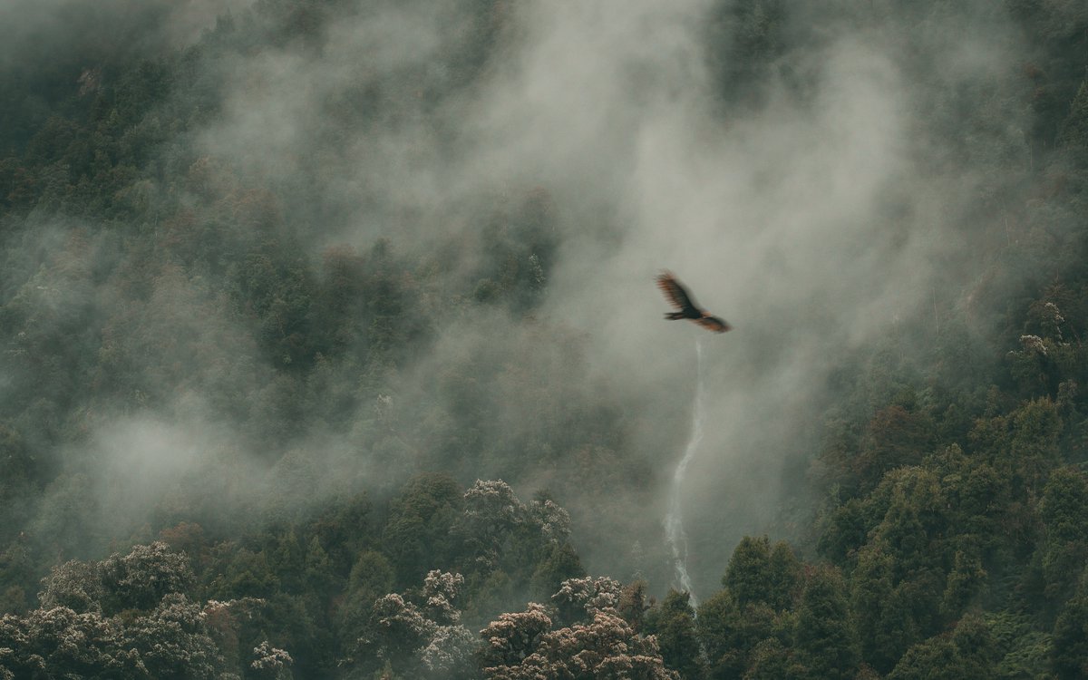 En el #DíaInternacionaldelosParquesNacionales queremos reiterar la importancia de la aprobación del proyecto que contempla la institucionalidad ambiental con el Servicio de Biodiversidad y Áreas Protegidas (SBAP).

Revisa la nota completa aquí bit.ly/3QVHOIX

📷 F. Otero