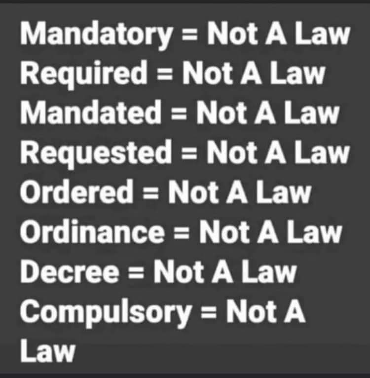 HulaQue's tweet image. 