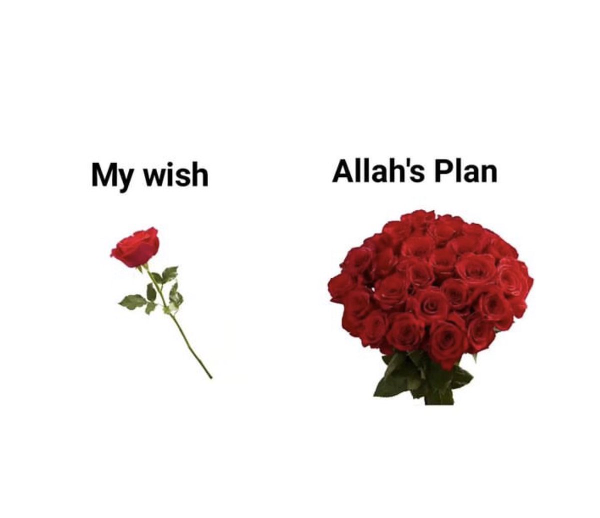 Al__Quraan's tweet photo. Be patient, Allah must have something better for you, Allah has a plan for you. https://t.co/7GVt6Gw061