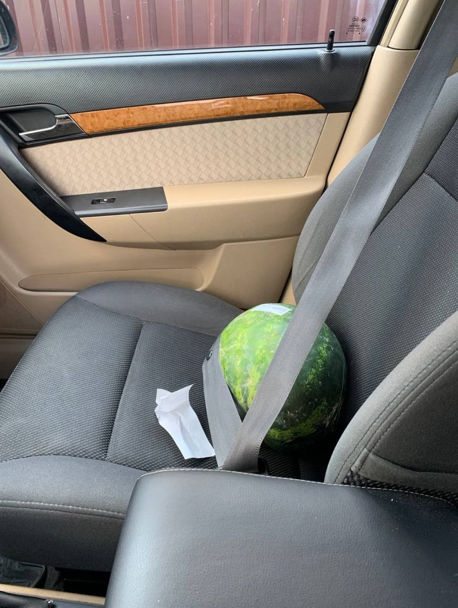 Дуже цінний пасажир😂