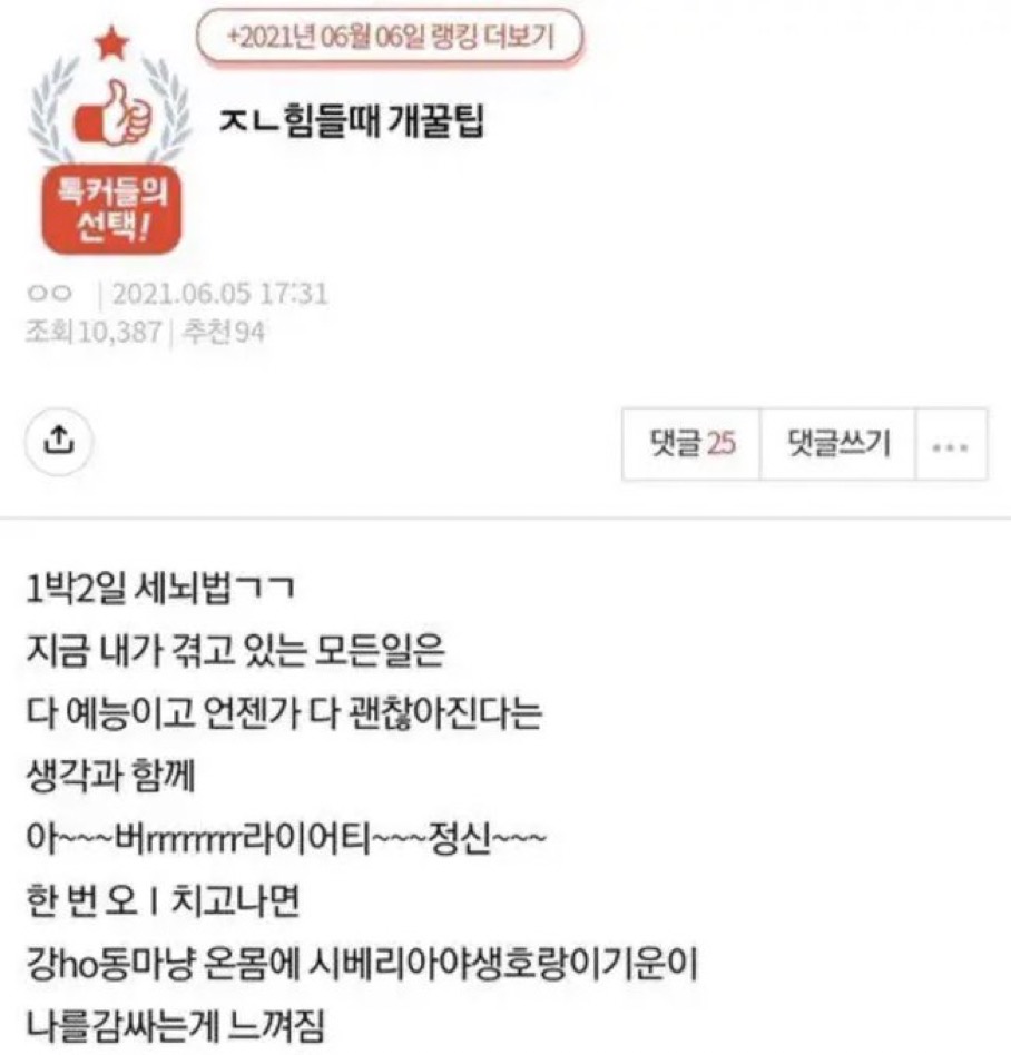 최지민 tweet media