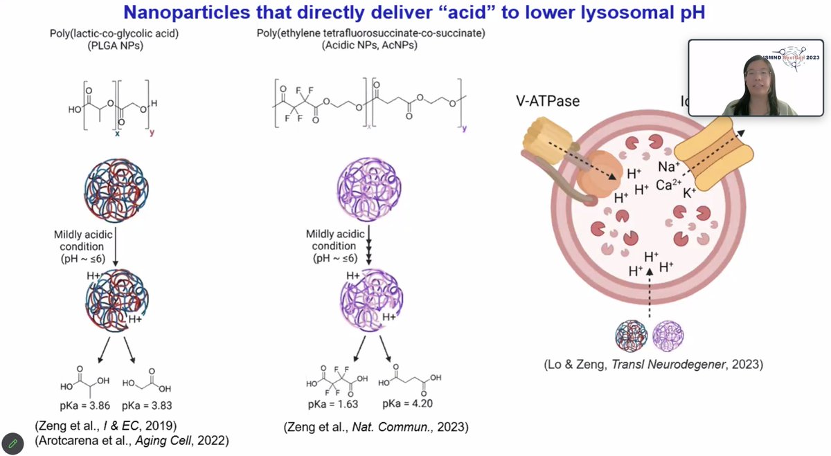 ISMND1's tweet photo. Opening session 4, @JialiuZeng @NTUsg presents ‘Acidic nanoparticles restore #lysosomal function and rescue α-syn induced neuronal cell death in #Parkinsons disease’
#ISMNDNextGen https://t.co/DZhUyghH4w