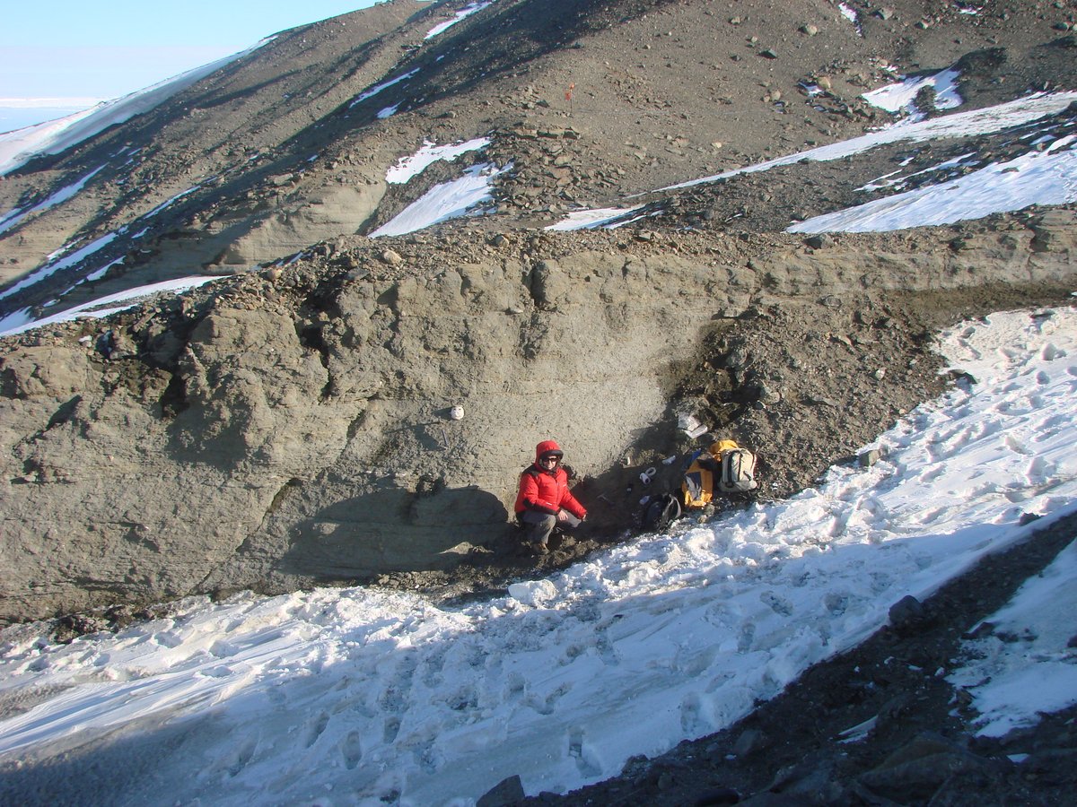 #LaUNLPInvestiga ¿Qué secretos guardan los pingüinos? 🫢🐧Investigadores de la Facultad de Ciencias Naturales y Museo trabajan en aves fósiles de la Antártida y del sur de América del sur para develarlos. Veamos qué descubrieron 🧵unlp.edu.ar/investiga/cien…