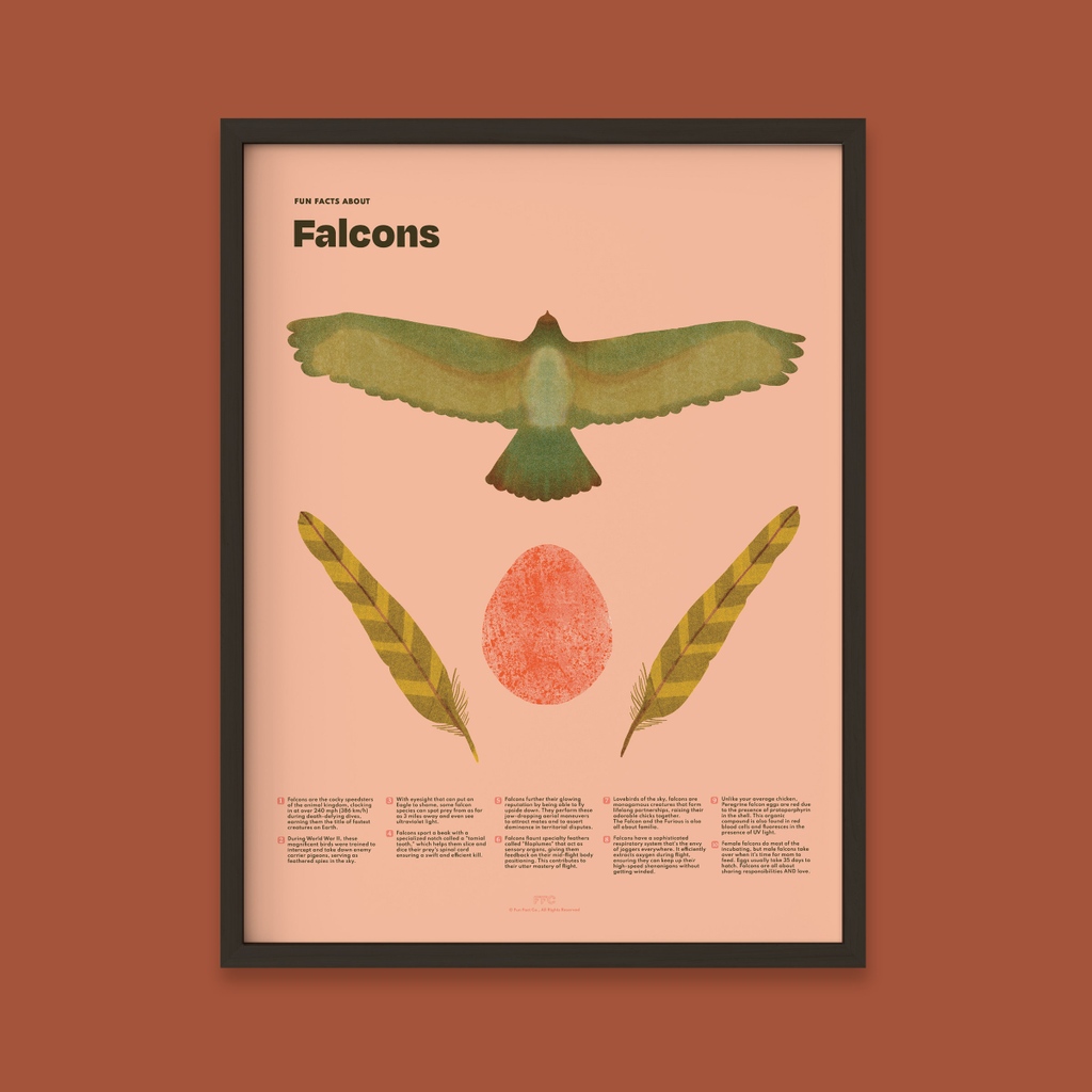 FunFactCo's tweet photo. Looking Fly 🦜 

Deck out your walls with some fabulous, fun facts! 
Available on our website for your home. 
Shop https://t.co/tzLsGgyHG9 https://t.co/5oQae2dOs0
