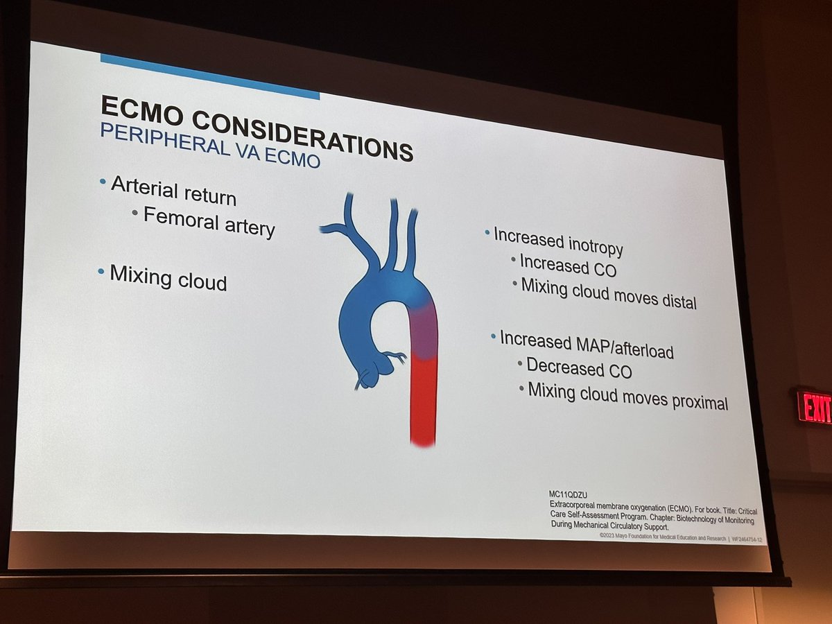 MayoVentilation's tweet photo. @MayoPCCM @MayoAnesthesia @EricaWittwer How does inotrope/vasopressor use effect the “mixing cloud” ☁️ with peripheral #VA-ECMO? @EricaWittwer @DrivingPressure https://t.co/3MLIaVusij