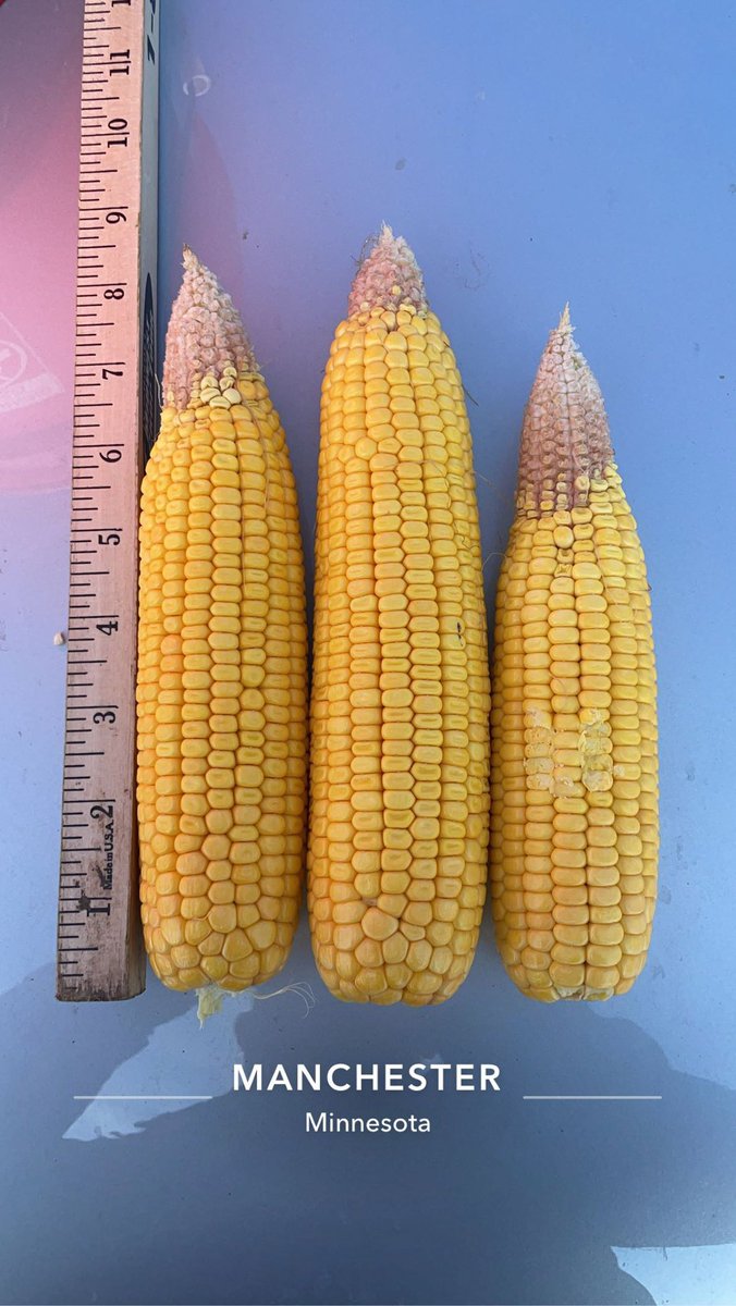 Corbin Catt / Catt & Crew Farms tweet media