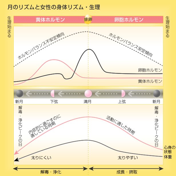 prana0127's tweet photo. 生理周期を整える方法。

宇宙のサイクル（月・太陽）があって
自然のサイクルがある（春夏秋冬）

そして、
人間のサイクル（生理周期）がある。

だから、
まずは月・太陽の光を浴びることから。

日焼け止め、
長袖、
室内作業では、

サイクルは感じられない。

#福岡　#不妊治療　#妊活　#春日市 https://t.co/AvYOtOvEh7